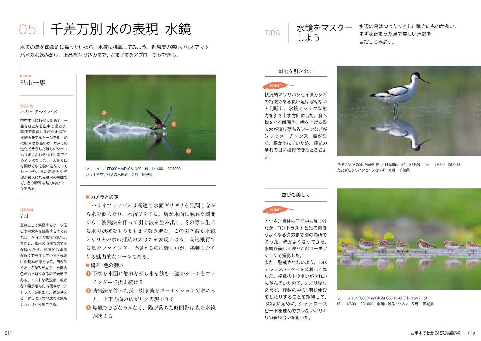 お手本でわかる！野鳥撮影術[BIRDER編集部]