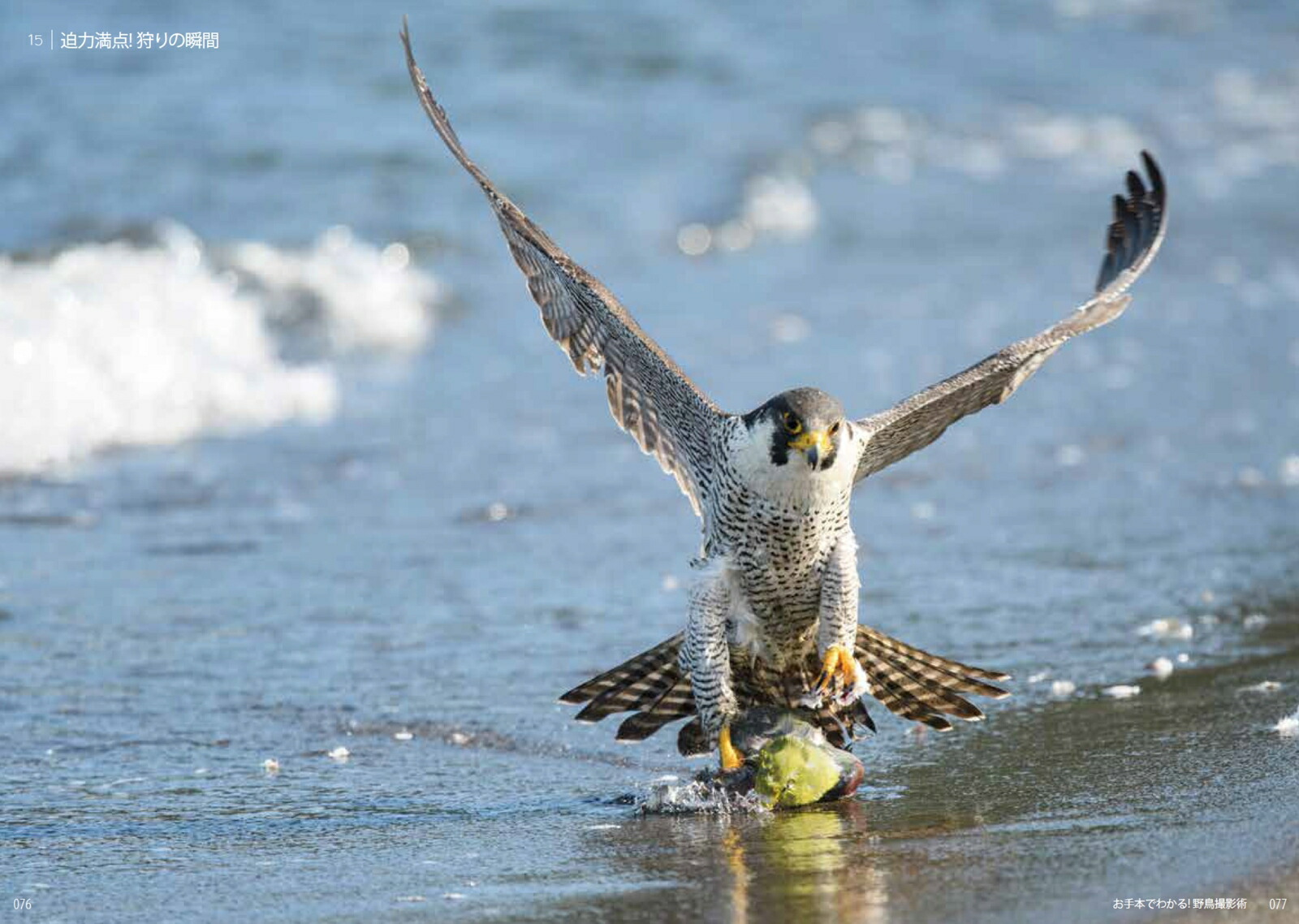 お手本でわかる！野鳥撮影術[BIRDER編集部]