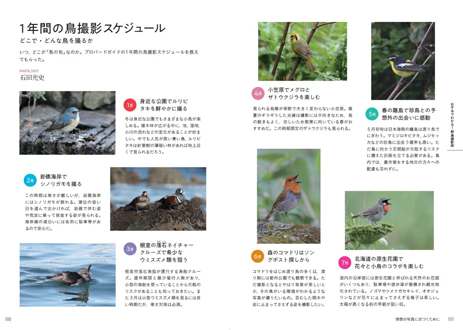 お手本でわかる！野鳥撮影術[BIRDER編集部]