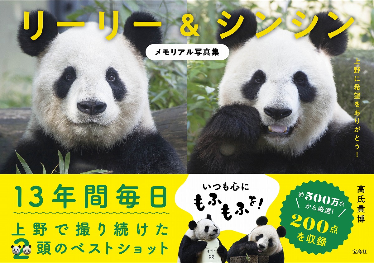 ꡼꡼󥷥ꥢ̿[ᵮ]