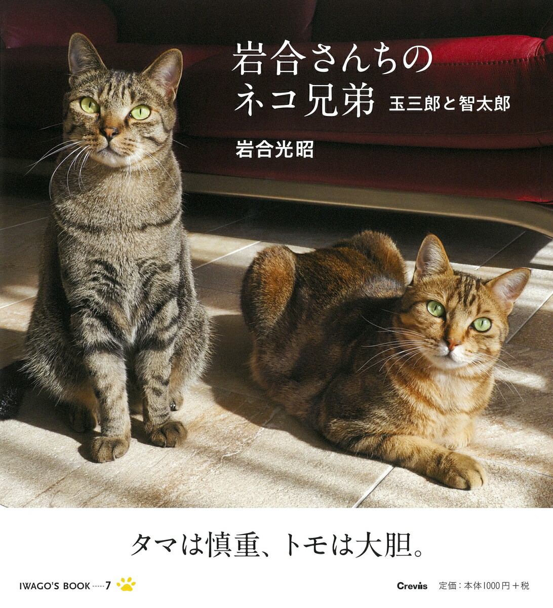 智太郎様 リクエスト 2点 まとめ商品 - まとめ売り