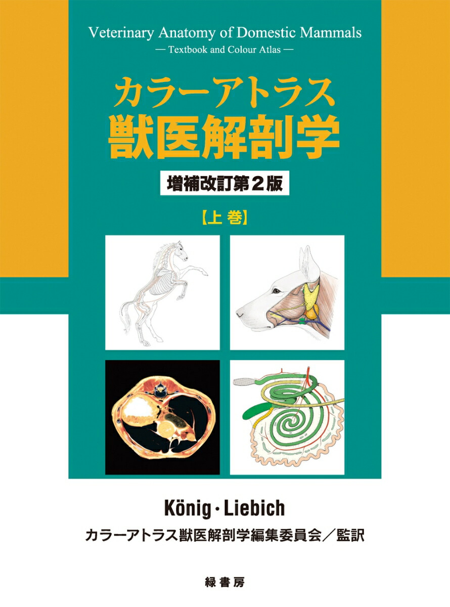 カラーアトラス獣医解剖学増補改訂第二版上下（未使用） - 健康・医学