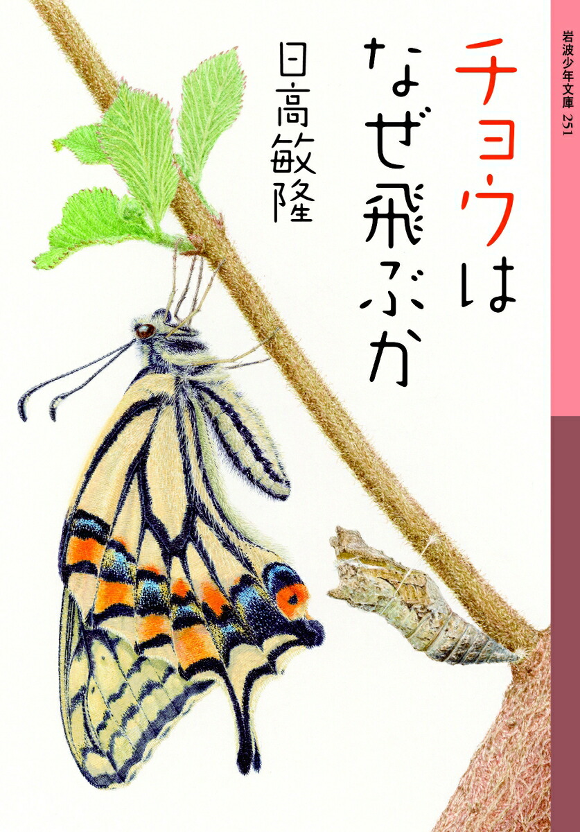 楽天ブックス: チョウはなぜ飛ぶか - 日高 敏隆 - 9784001142518 : 本