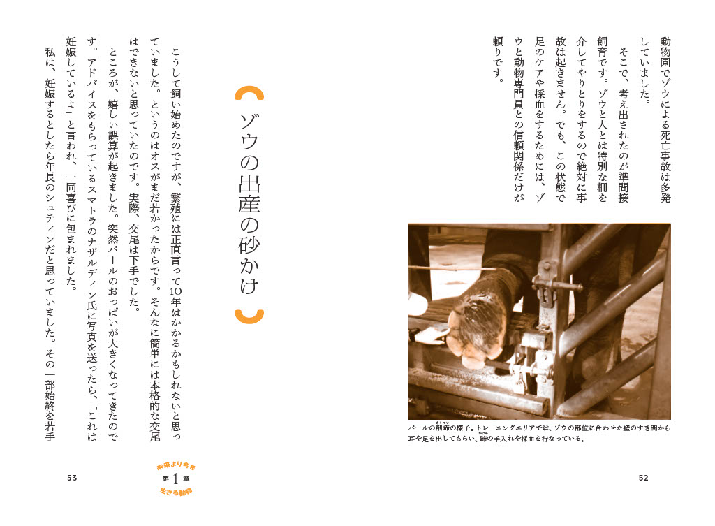 İ�Ǵ狼�餭������ưʪ��Ϸ���ȥ����ΤϤʤ�[��������]