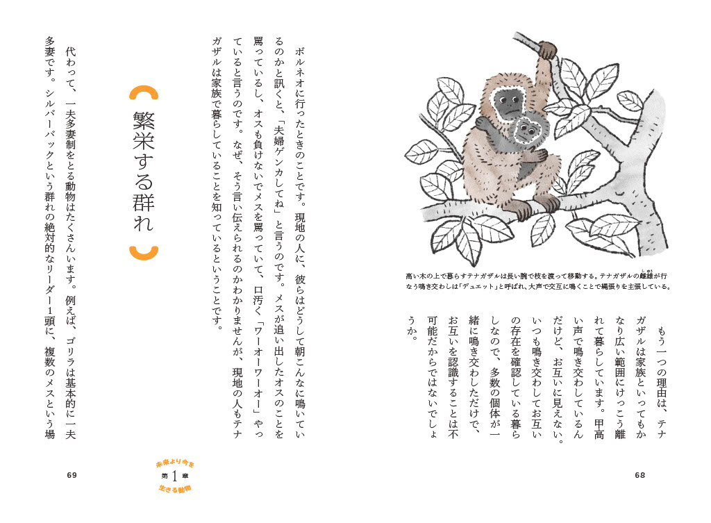 İ�Ǵ狼�餭������ưʪ��Ϸ���ȥ����ΤϤʤ�[��������]