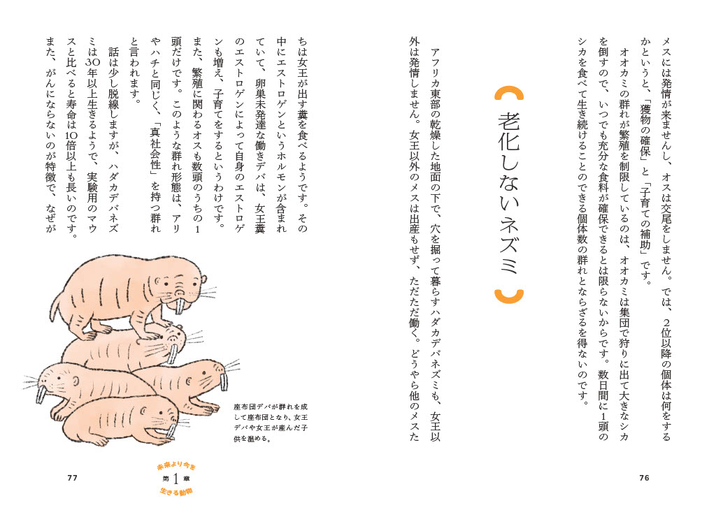 İ�Ǵ狼�餭������ưʪ��Ϸ���ȥ����ΤϤʤ�[��������]