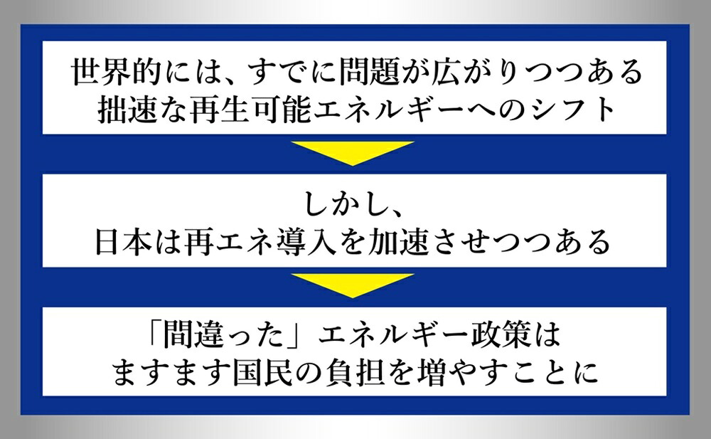 間違いだらけのエネルギー問題[山本隆三]
