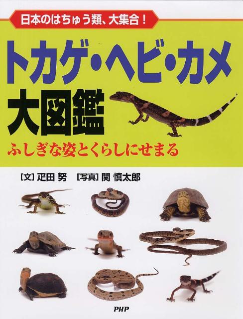 楽天ブックス トカゲ ヘビ カメ大図鑑 日本のはちゅう類 大集合 ふしぎな姿とくらしにせ 疋田努 本