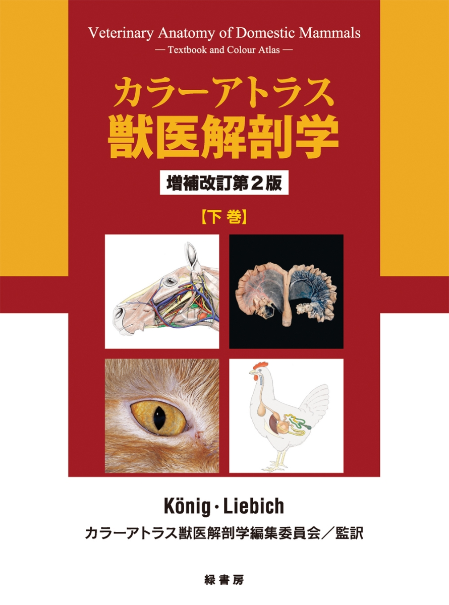 楽天ブックス: カラーアトラス獣医解剖学 増補改訂第2版 下巻