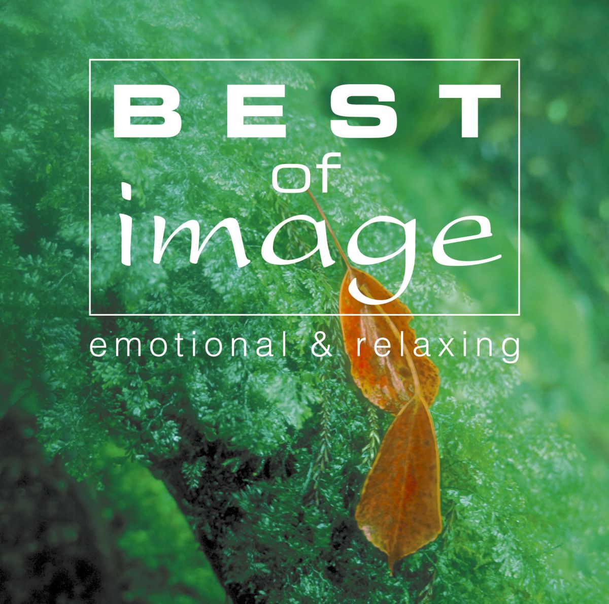 楽天ブックス: BEST of image - (V.A.) - 4547366202526 : CD