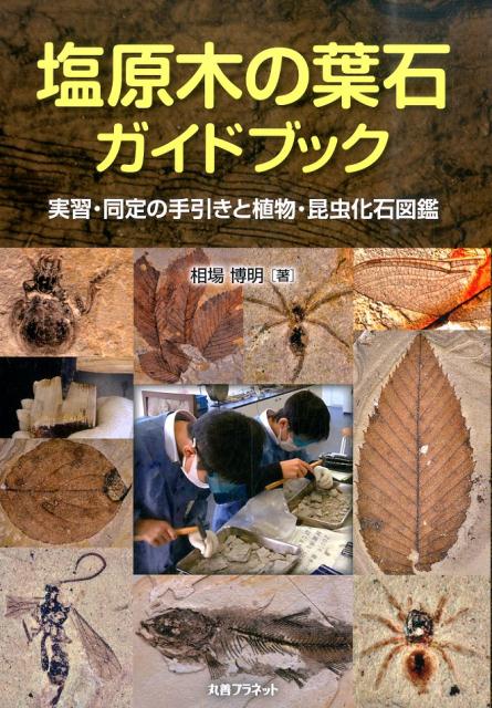 楽天ブックス: 塩原木の葉石ガイドブック - 実習・同定の手引きと植物