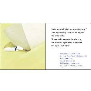 楽天ブックス 海辺のジェイク 読み聞かせ英語絵本 葉祥明 本