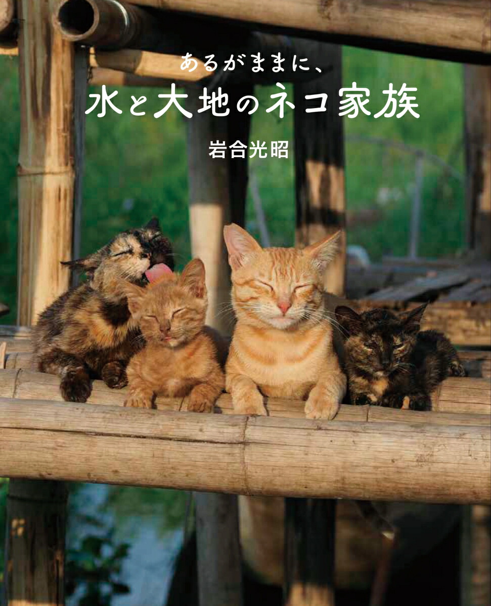 ����Ǵ������������ͥ��⤭���뤬�ޤޤˡ�������ϤΥͥ���²[������]