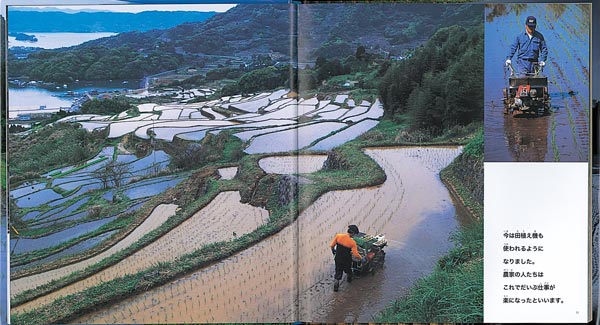 êĤ⤱Сʡۤβʳإ꡼[]