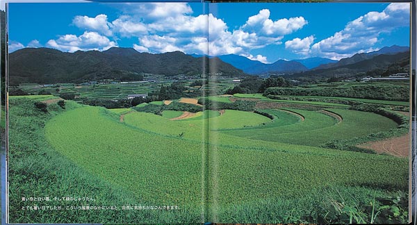 êĤ⤱Сʡۤβʳإ꡼[]