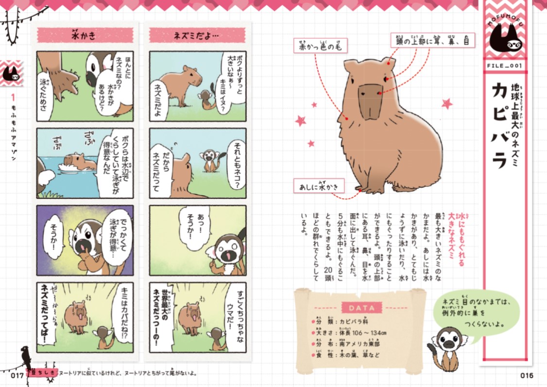 楽天ブックス ゆるゆるアマゾン図鑑 さのかける 本