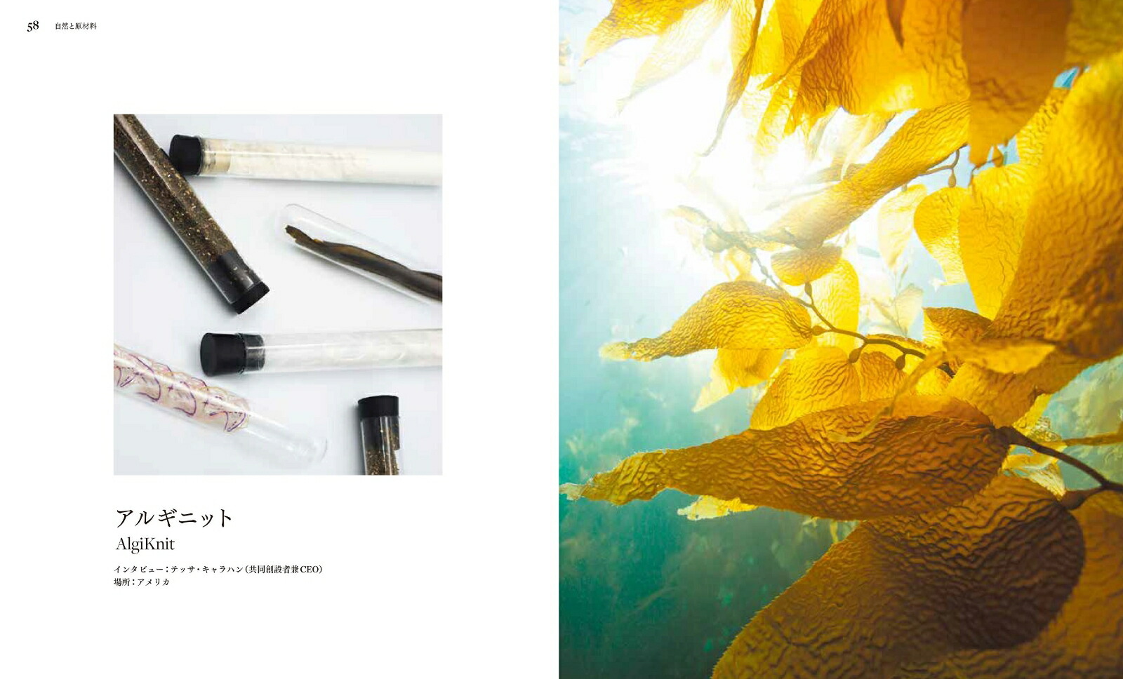 ꥸͥƥ֡եåͤȴĶͥ[եߥˡ]