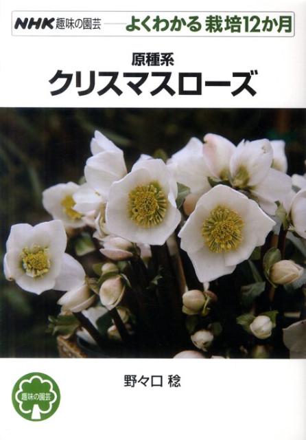 楽天ブックス 原種系クリスマスローズ 野々口稔 本