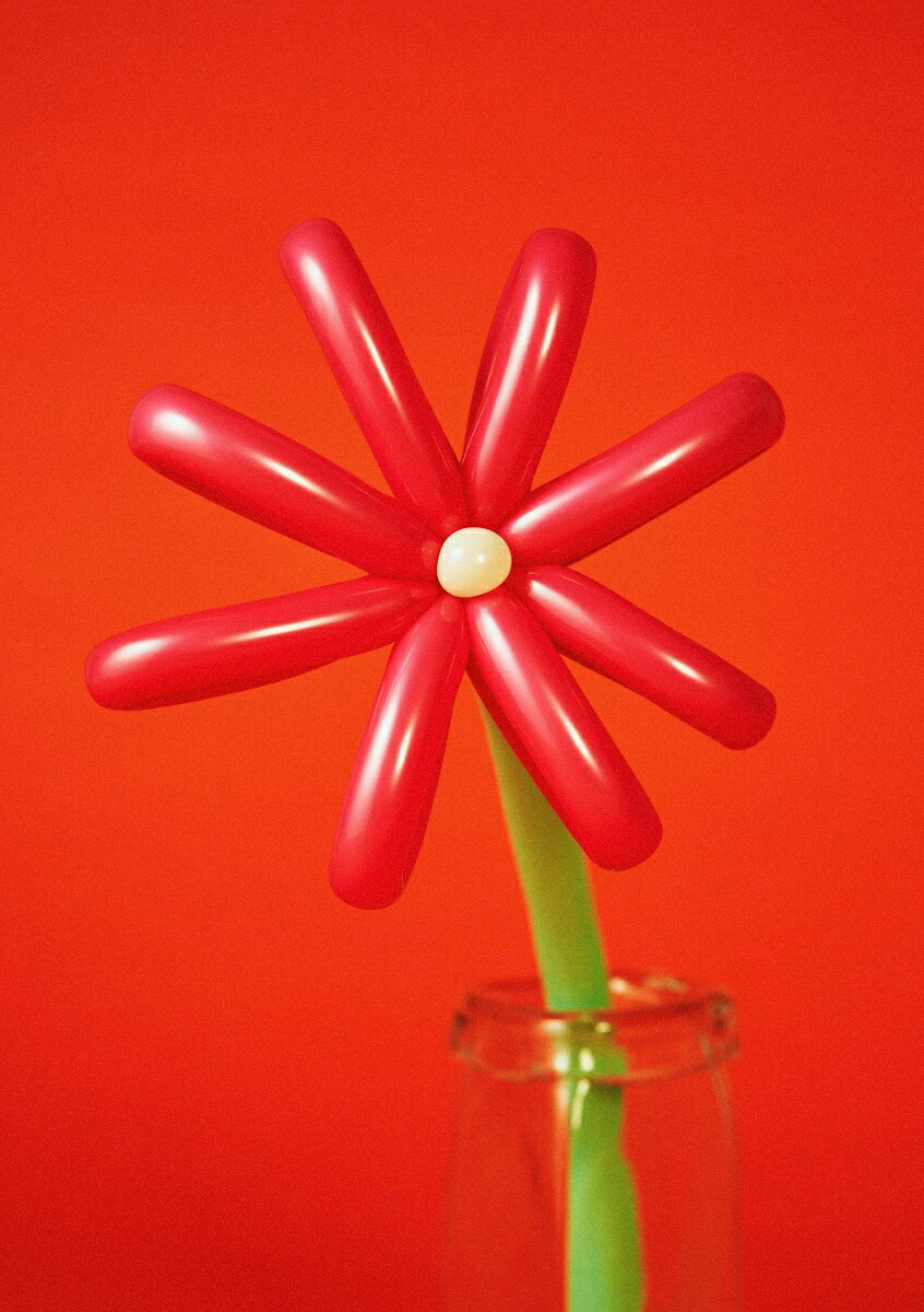 楽天市場】マカロニえんぴつ／MACAROCK'N LIVE-1 (初回限定) 【DVD