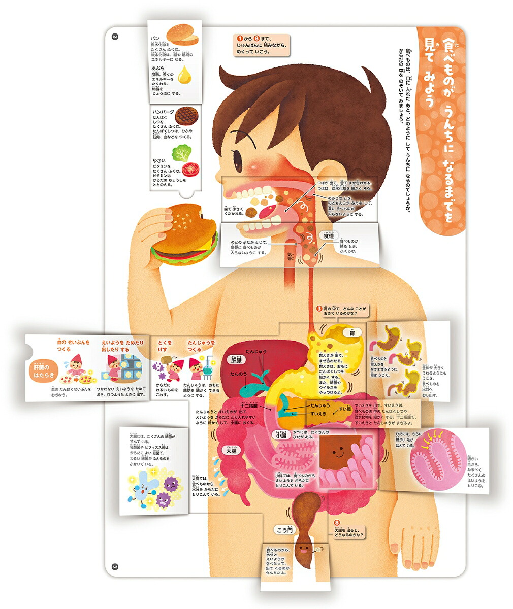 楽天ブックス: からだのしくみ図鑑 - 阿部和厚 - 9784052052569 : 本