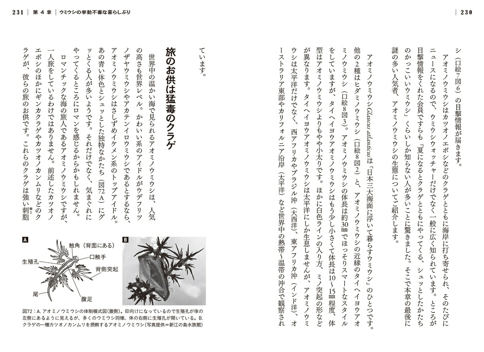 ���ߥ����򿩤٤Ƥߤ�[��������]