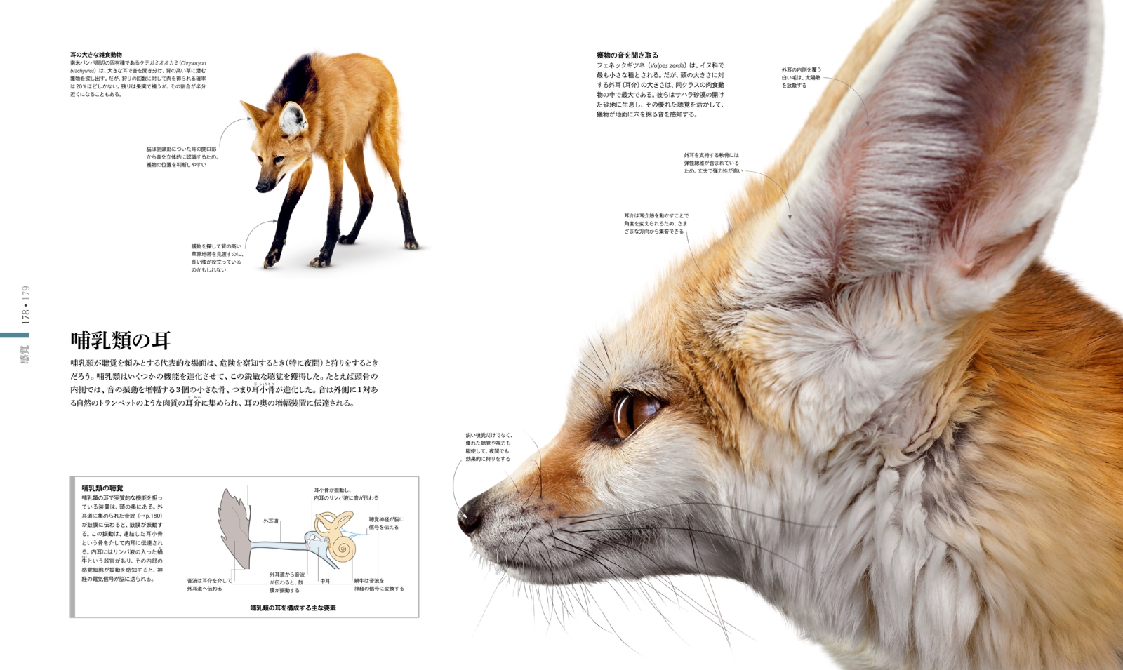 楽天ブックス Zoology 図鑑 動物の世界 スミソニアン協会 本