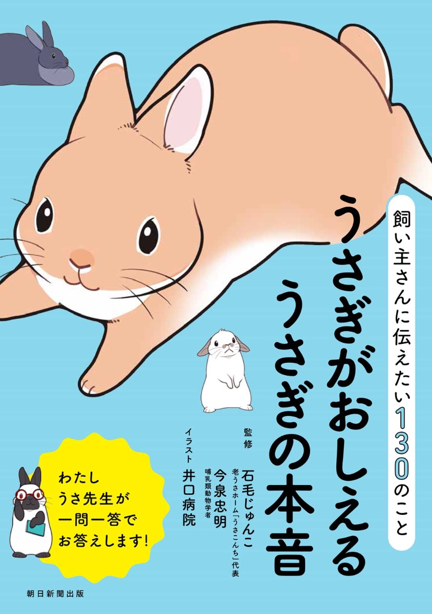 楽天ブックス うさぎがおしえるうさぎの本音 飼い主さんに伝えたい130のこと 前サブ 石毛淳子 今泉忠明 本