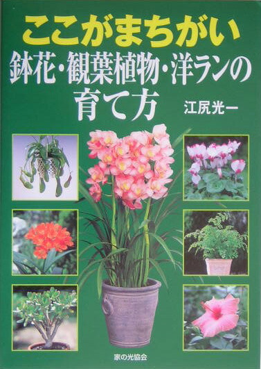 楽天ブックス ここがまちがい鉢花 観葉植物 洋ランの育て方 江尻光一 本