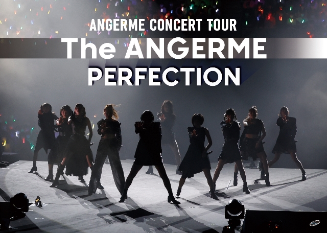 アンジュルム CONCERT TOUR -The ANGERME- PERFECTION画像