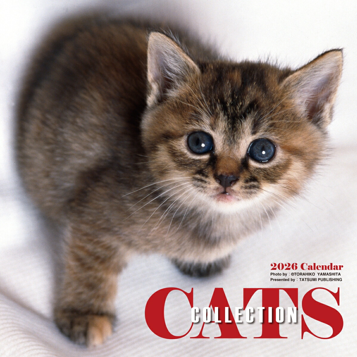 2026　カレンダー　キャッツコレクション画像