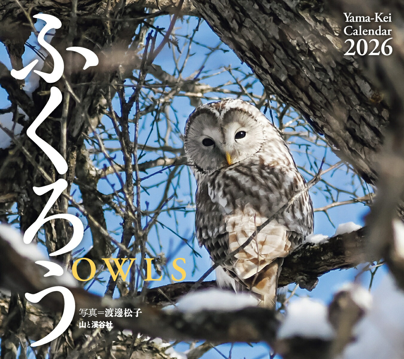 楽天市場】HUKULOU COFFEE フクロウ コーヒー 2026年 壁掛けカレンダー