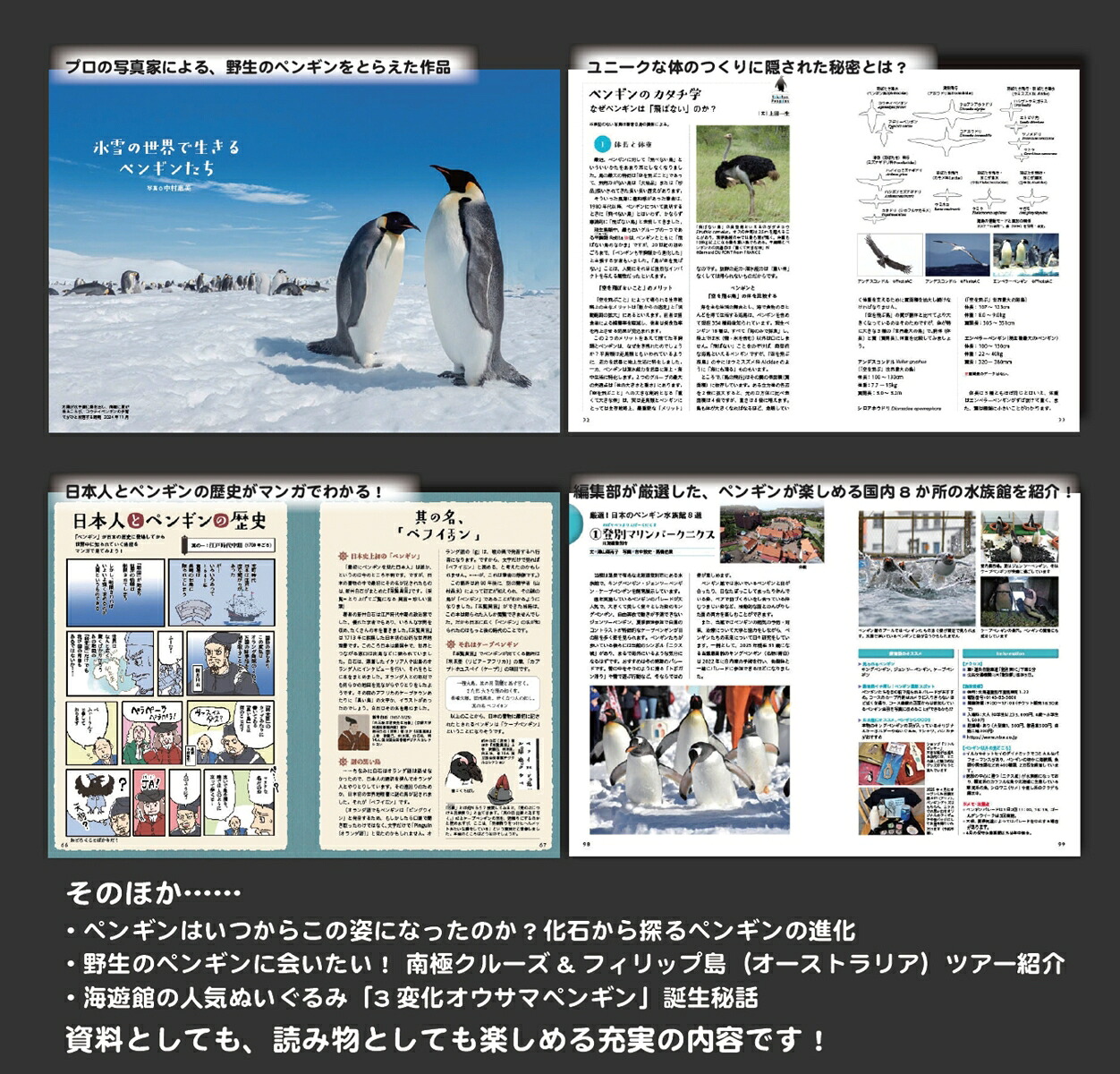 楽天ブックス: とことんペンギン - BIRDER編集部 - 9784829972618 : 本
