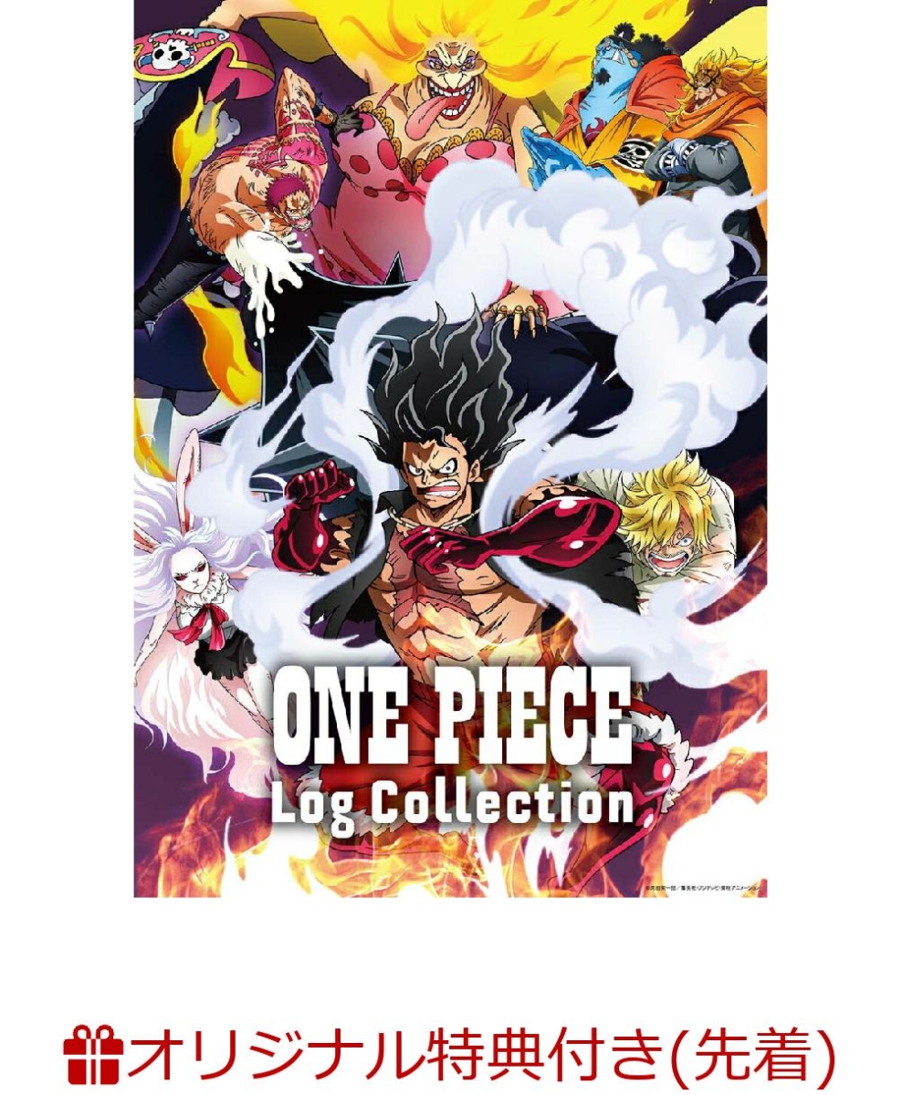楽天ブックス 楽天ブックス限定先着特典 先着特典 One Piece Log Collection Levely 2l判ブロマイド 2枚セット オリジナル両面a4クリアファイル Dvd