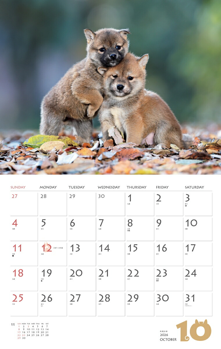 カレンダー2026柴犬（月めくり/壁掛け/いぬ）（［カレンダー］）