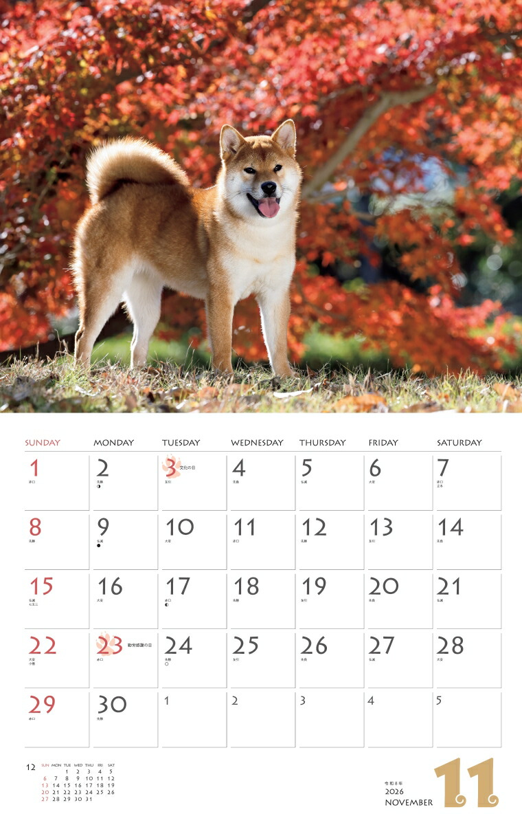 カレンダー2026柴犬（月めくり/壁掛け/いぬ）（［カレンダー］）