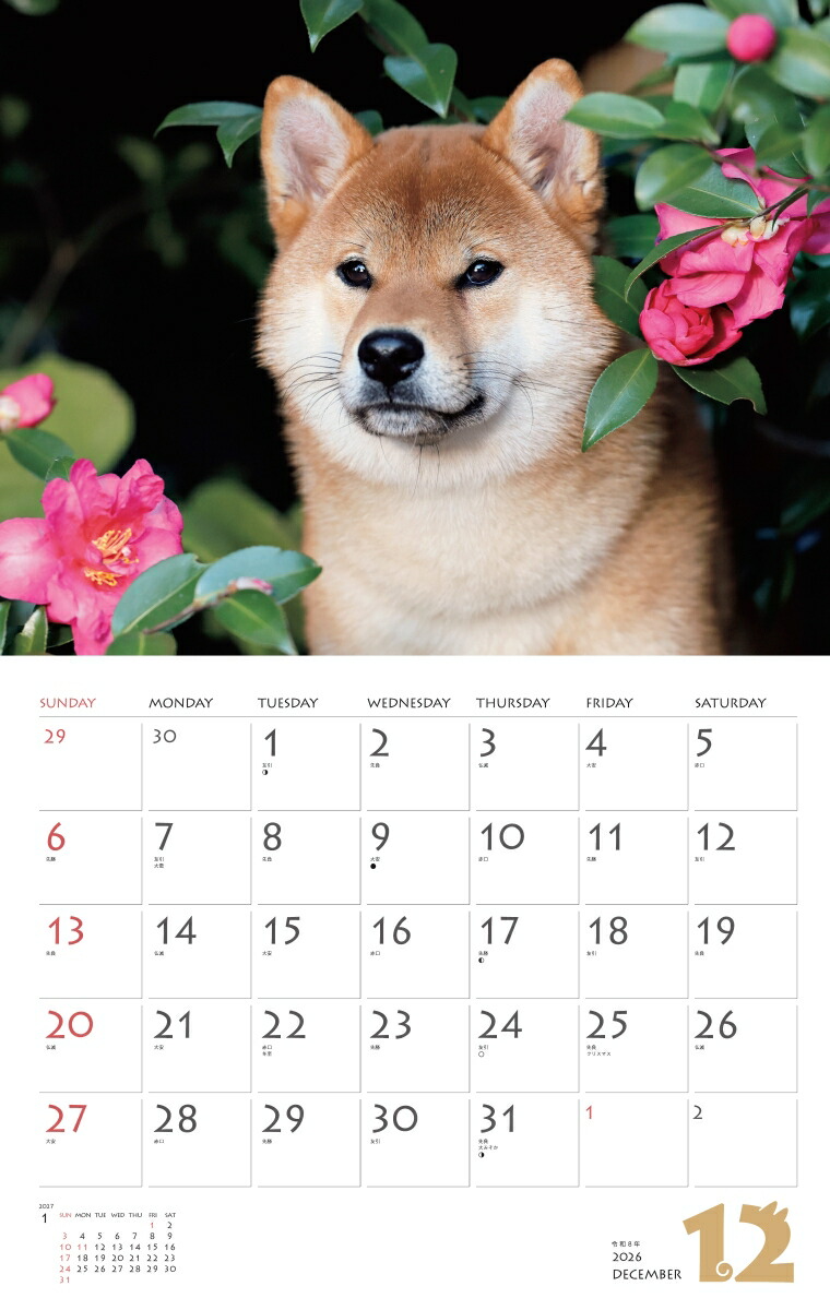 カレンダー2026柴犬（月めくり/壁掛け/いぬ）（［カレンダー］）