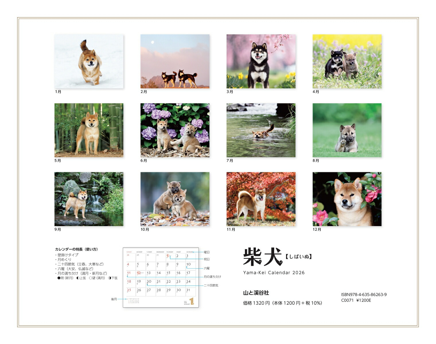 カレンダー2026柴犬（月めくり/壁掛け/いぬ）（［カレンダー］）