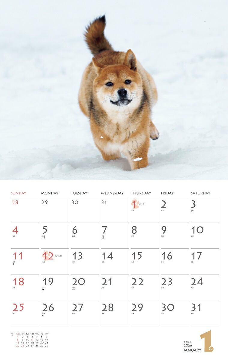 カレンダー2026柴犬（月めくり/壁掛け/いぬ）（［カレンダー］）