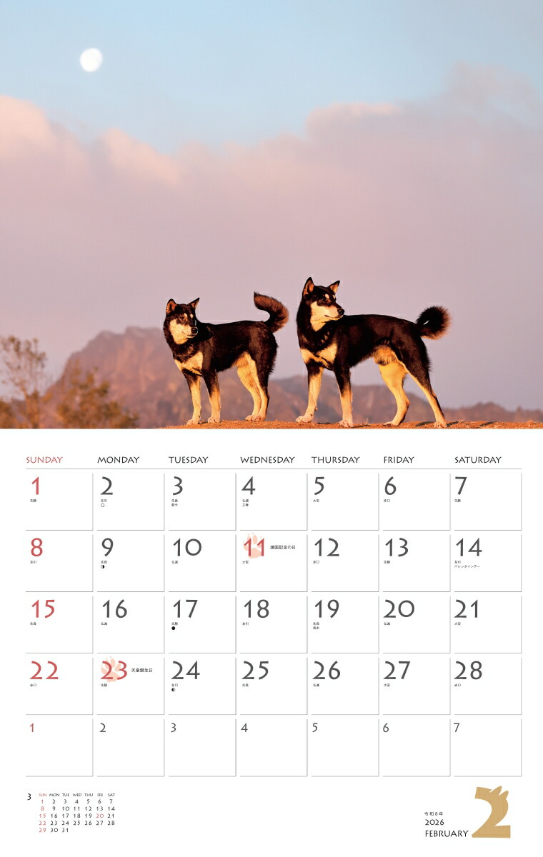 カレンダー2026柴犬（月めくり/壁掛け/いぬ）（［カレンダー］）