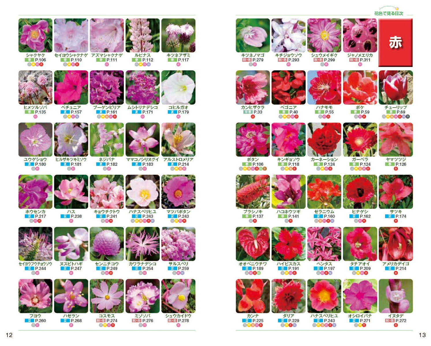 楽天ブックス: 自然散策が楽しくなる！花図鑑 - 山田 隆彦 - 9784262162645 : 本
