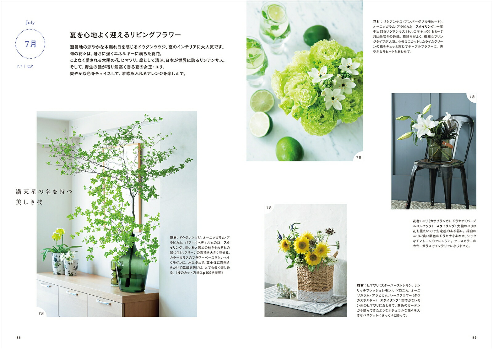 �֤ȴ����Ũ�ʹ�碌��12����νܤβ֤��狼��޴��դ�[����ŵ��]