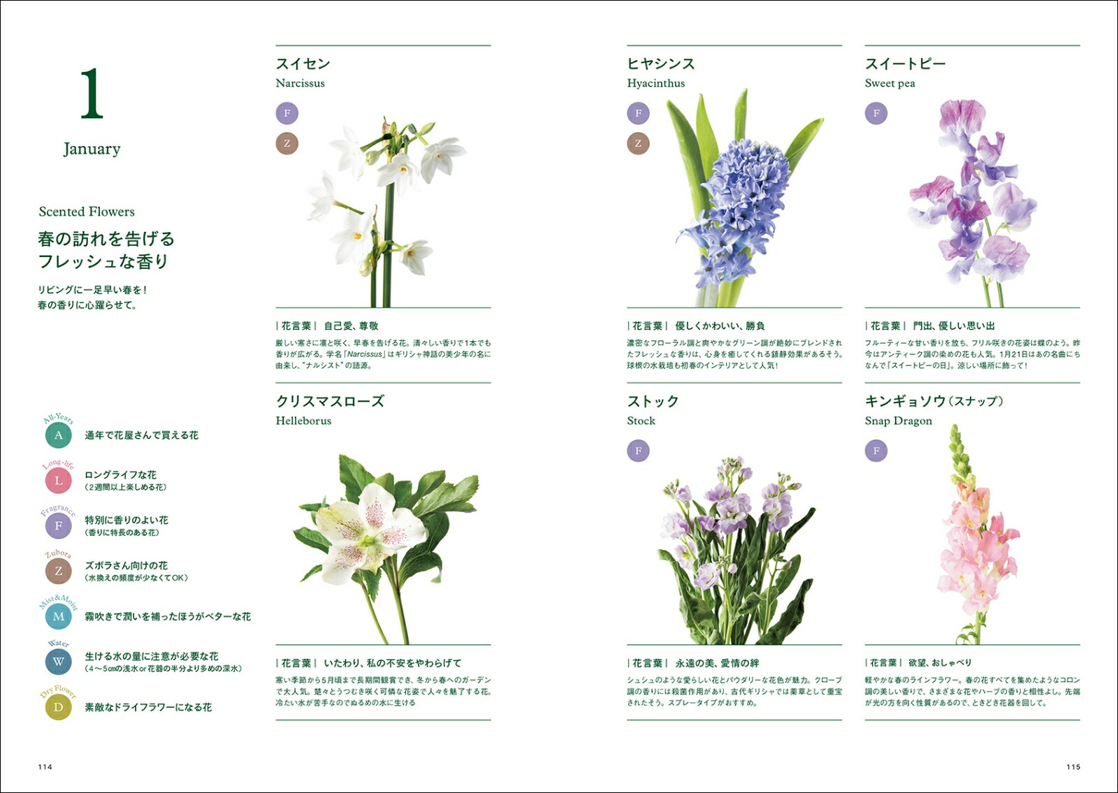 �֤ȴ����Ũ�ʹ�碌��12����νܤβ֤��狼��޴��դ�[����ŵ��]