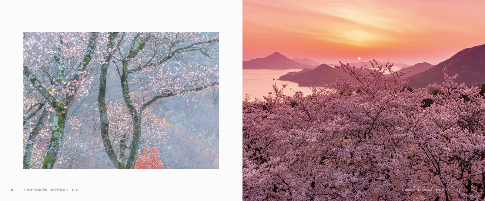 楽天ブックス 日本の美しい幻想風景 日本風景写真家協会 本