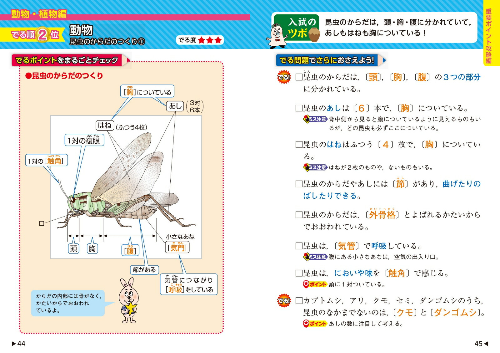 �������Ǥ��ݥ��Ǥ�����ưʪ����ʪ���ϵ�ȱ���[��ʸ��]