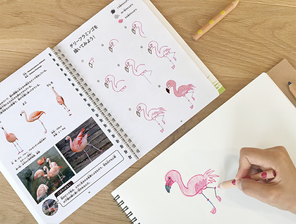 ���������������WORK��CREATE���꡼����[���Ƥ�����]