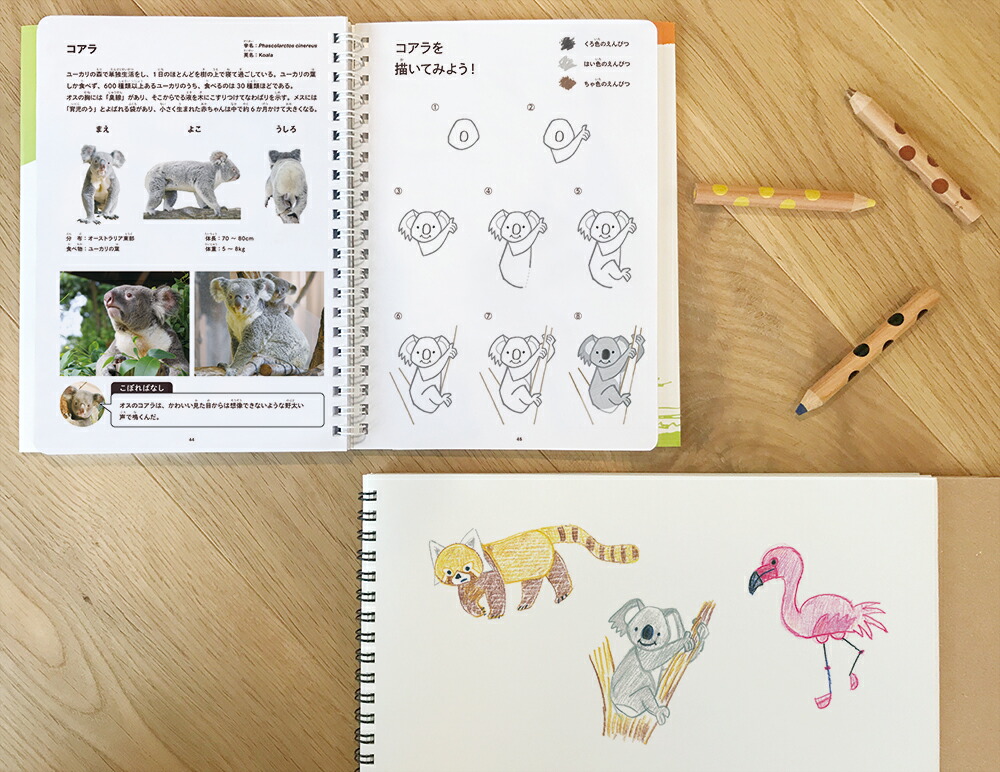 ���������������WORK��CREATE���꡼����[���Ƥ�����]