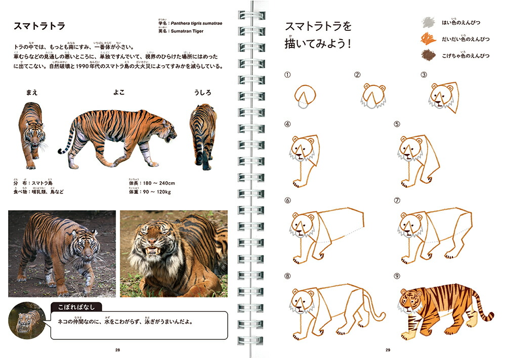 ���������������WORK��CREATE���꡼����[���Ƥ�����]