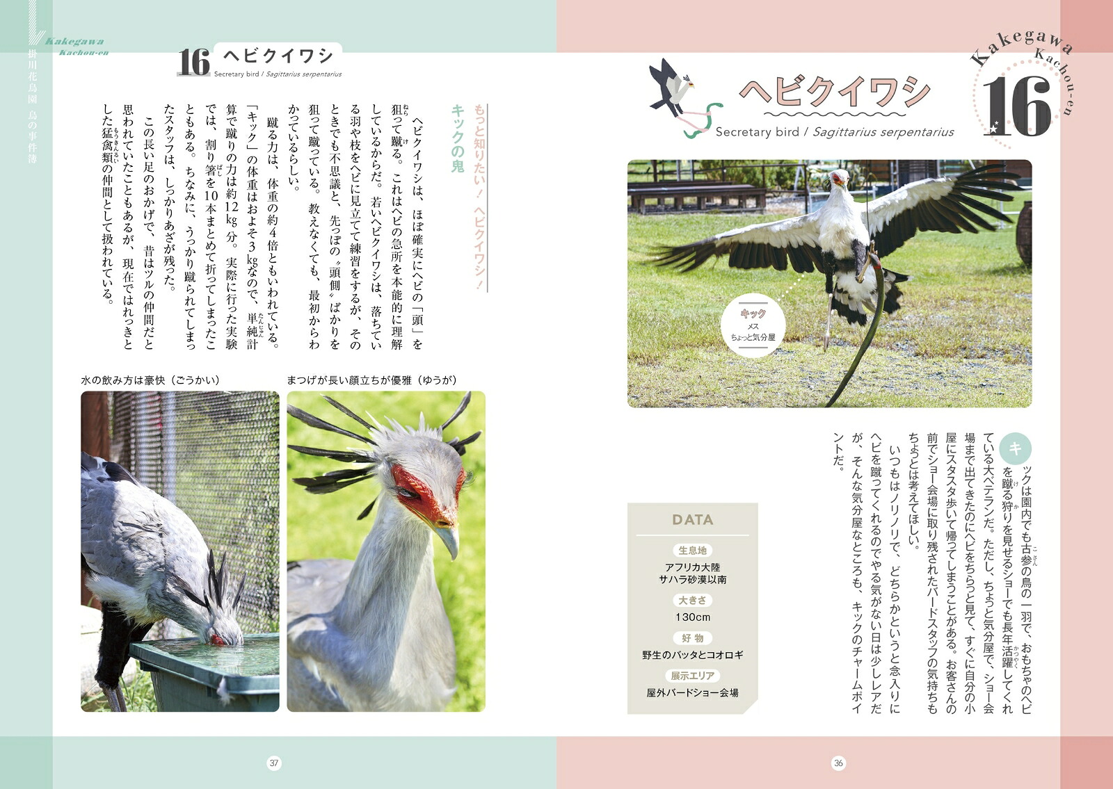 掛川花鳥園鳥の事件簿[掛川花鳥園]