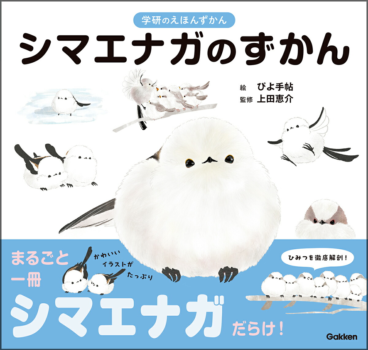 シマエナガのずかん（学研のえほんずかん11）[ぴよ手帖]