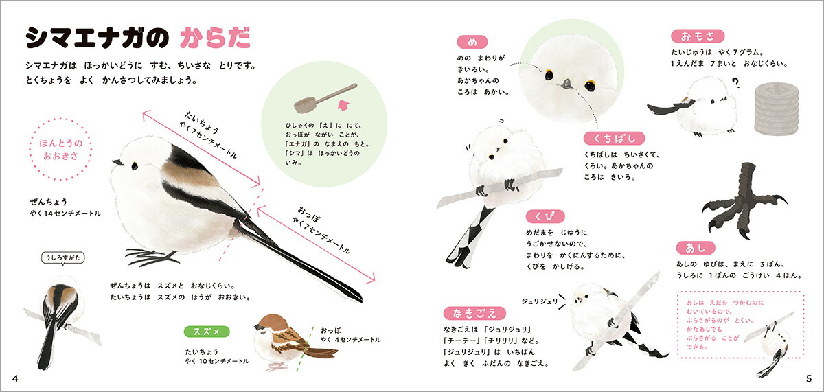 シマエナガのずかん（学研のえほんずかん11）[ぴよ手帖]